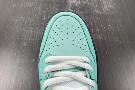 Compact 3612 Concepts x TIFFANY CO. x Nike SB Dunk Low BV1310-402 