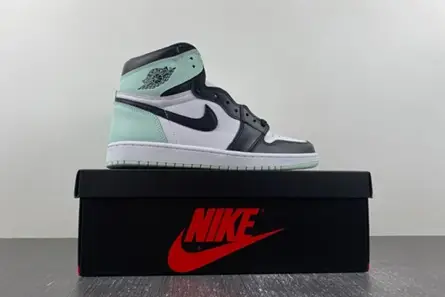 Compact 8759 Air Jordan 1 Retro High OG NRG 