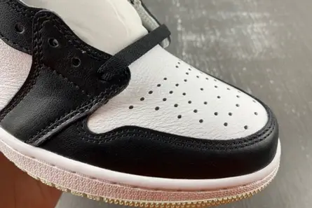 Compact 8759 Air Jordan 1 Retro High OG NRG 