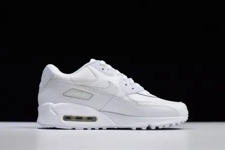 DailyWear 1499 Nike Air Max 90 Essential | White  537384-111 
