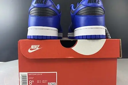 DailyWear 2678 Nike Dunk Low SB CU1726-006 