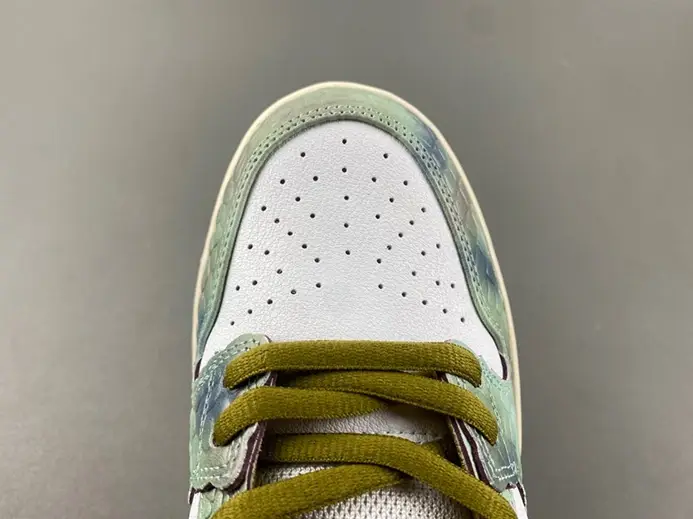 DailyWear 5040 Nike SB Dunk Low Alexis Sablone Chameleon  HJ3386-300 