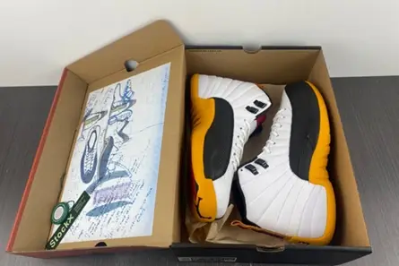 DailyWear 8225 Air Jordan 12 Retro DR8887-100 