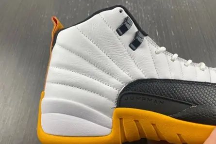 DailyWear 8225 Air Jordan 12 Retro DR8887-100 