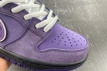 Durable 6793 Nike SB Dunk Low Concepts Purple Lobster - BV1310-555 