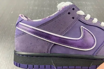 Durable 6793 Nike SB Dunk Low Concepts Purple Lobster - BV1310-555 