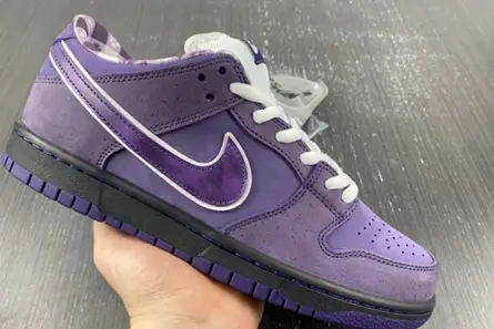 Durable 6793 Nike SB Dunk Low Concepts Purple Lobster - BV1310-555 