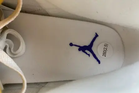 Efficient 2589 Jordan 3 Retro Kobe Bryant PE  869802-907 