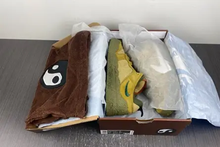 Efficient 4299 Cactus Plant Flea Market x Nike Dunk Low DM0430-700 
