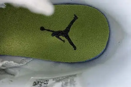 Elegant 7057 Air Jordan 6 GS “Alligator” 384665-110  FAA621