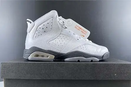 Elegant 7057 Air Jordan 6 GS “Alligator” 384665-110 