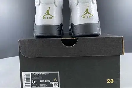 Elegant 7057 Air Jordan 6 GS “Alligator” 384665-110 