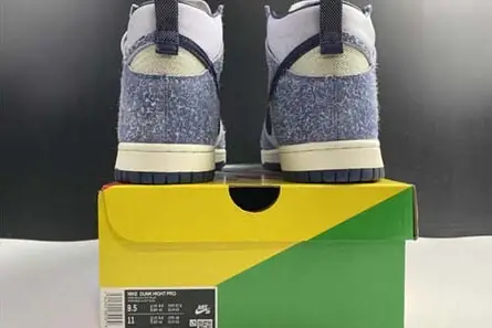 GoAnywhere 2070 NIKE SB Dunk High CW3092 -400 