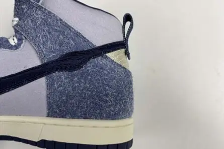 GoAnywhere 2070 NIKE SB Dunk High CW3092 -400 