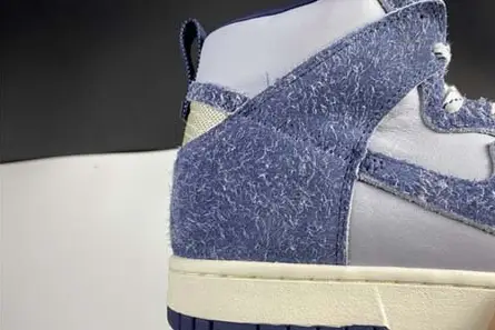 GoAnywhere 2070 NIKE SB Dunk High CW3092 -400 