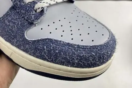 GoAnywhere 2070 NIKE SB Dunk High CW3092 -400 