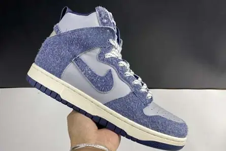 GoAnywhere 2070 NIKE SB Dunk High CW3092 -400 