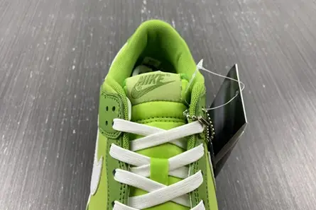 GoAnywhere 8937 Nike Dunk Low Chlorophyll DJ6188-300 