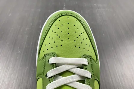 GoAnywhere 8937 Nike Dunk Low Chlorophyll DJ6188-300 