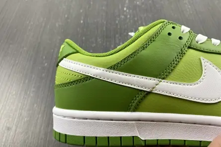 GoAnywhere 8937 Nike Dunk Low Chlorophyll DJ6188-300 