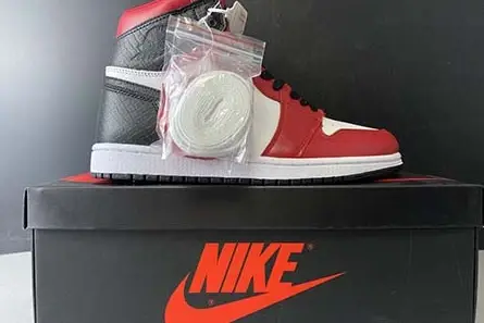 GoAnywhere 9253 Air Jordan 1 High OG WMNS “Satin Snake” CD0461-601 