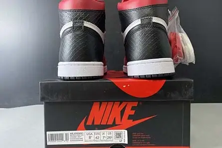 GoAnywhere 9253 Air Jordan 1 High OG WMNS “Satin Snake” CD0461-601 