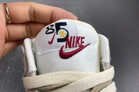 GoodFit 2848 NIKE Dunk Low DO9457-100 
