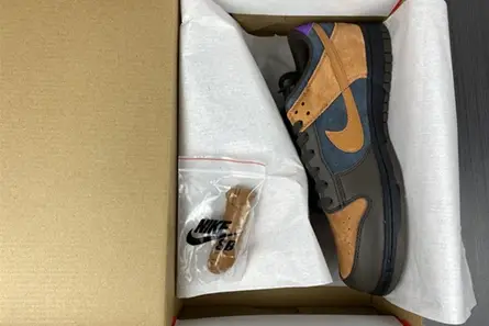 GoodFit 6600 Nike Dunk Low “Cider” DH0601-001 