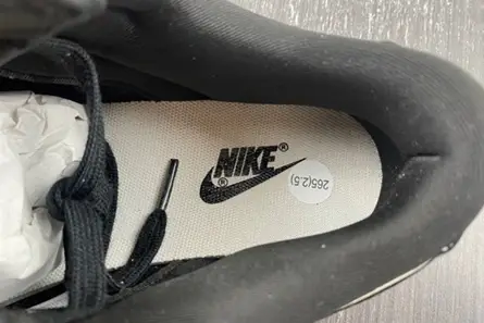 GoodFit 7571 Nike Dunk Low fc1688-300 