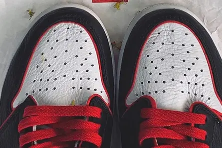 JORDAN 1 WHO SAID MAN WASN'T MEANT TO FLY 555088-062 Cozy 7883 