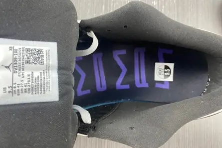 Jordan 1 Low SE Concord DV1309-100 Comfortable 2139 