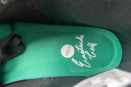 Jordan 1 Retro High Golf Eastside Golf 1961  FJ0849-001 DailyWear 1329 