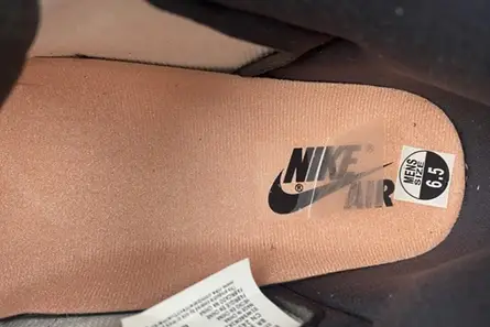 Jordan 1 Retro High OG Bleached Coral 555088-108 TopPick 6463 