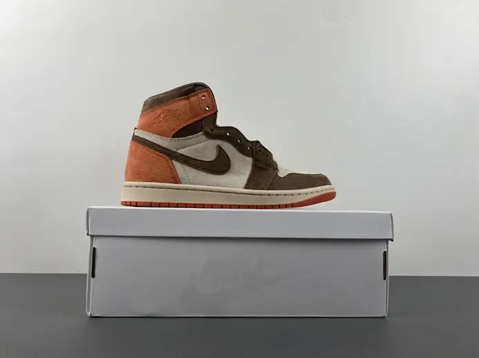 Jordan 1 Retro High OG SP Dusted Clay (Women's)  FQ2941-200 Sleek 9527  FDAA1566