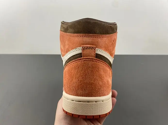 Jordan 1 Retro High OG SP Dusted Clay (Women's)  FQ2941-200 Sleek 9527  FDAA1566