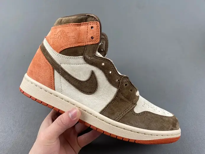 Jordan 1 Retro High OG SP Dusted Clay (Women's)  FQ2941-200 Sleek 9527 
