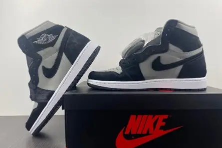 Jordan 1 Retro High OG Twist 2.0 (W) DZ2523-001 GoodFit 409 