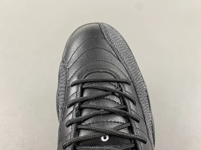 Jordan 12 Retro The Master 130690-013 WellDesigned 7115 