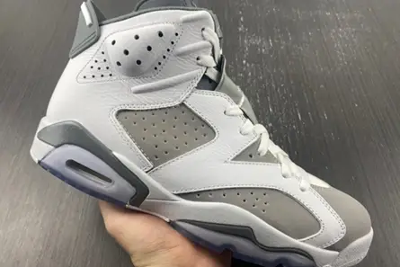 Jordan 6 Retro Cool Grey  CT8529-100 SmartChoice 4214 
