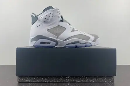 Jordan 6 Retro Cool Grey  CT8529-100 SmartChoice 4214 