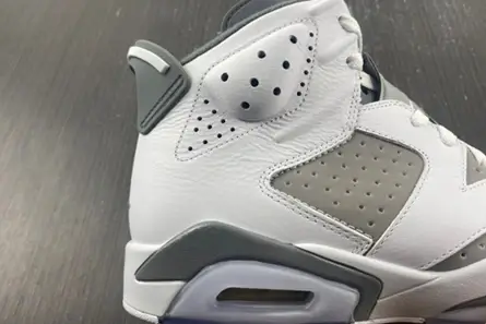 Jordan 6 Retro Cool Grey  CT8529-100 SmartChoice 4214 