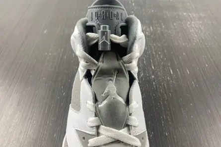 Jordan 6 Retro Cool Grey  CT8529-100 SmartChoice 4214 