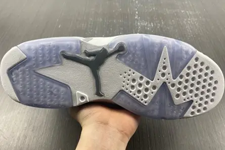 Jordan 6 Retro Cool Grey  CT8529-100 SmartChoice 4214 