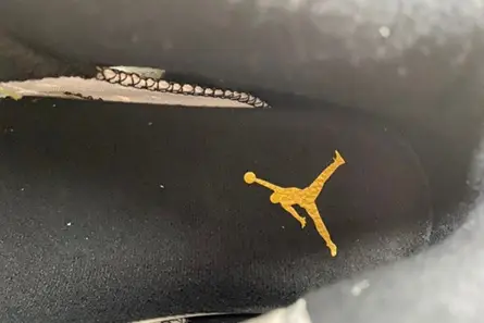 Jordan 6 Retro Yellow Ochre  CT8529-170 Trendsetting 3262  EAB473