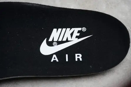 Lightweight 248 Nike Air Max 1 Wolf Grey AH8145-003 