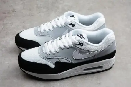Lightweight 248 Nike Air Max 1 Wolf Grey AH8145-003 