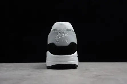 Lightweight 248 Nike Air Max 1 Wolf Grey AH8145-003 