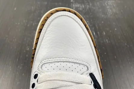 Minimalist 347 Travis Scott x Air Jordan 3 “Palomino” CT8532-120 