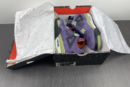 Minimalist 4132 Air Jordan 4 WMNS “Canyon Purple” AQ9129-500 