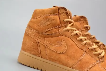 Minimalist 604 Air Jordan 1 Retro High OG 